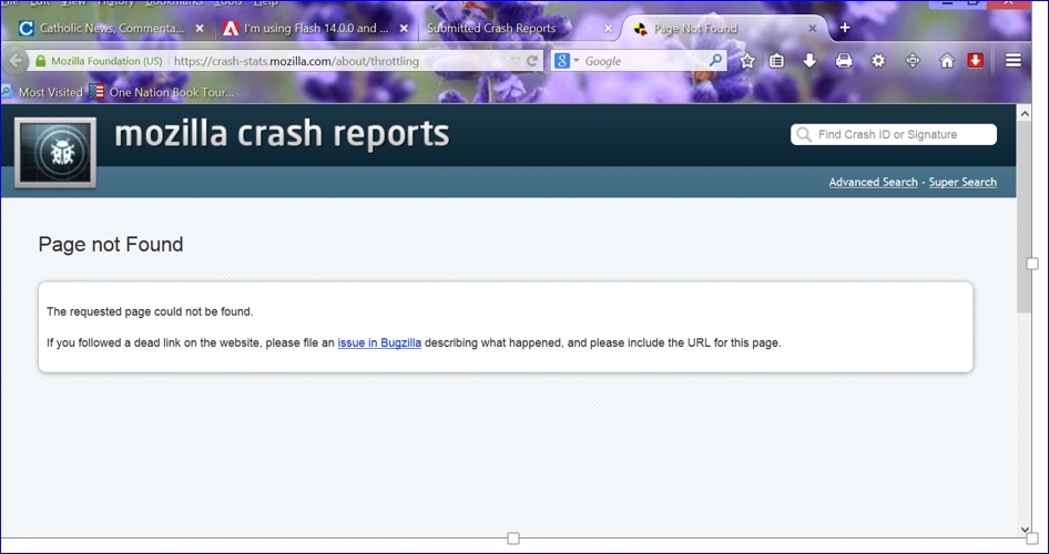 Adobe Flash 5 Error.PNG